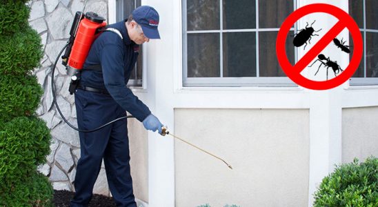 Balışeyh Böcek İlaçlama böcek ilaçlama ve haşere kontrolü — ilaclama-tr.com